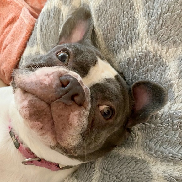 Meet your Posher, Miriam - Picture 5 of 6